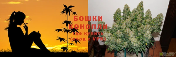 МДПВ Медвежьегорск