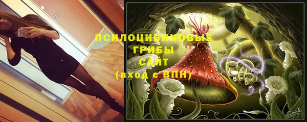соль курить ск Богородицк