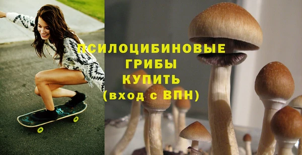 соль курить ск Богородицк