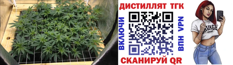 ТГК THC oil  как найти   Верхоянск 