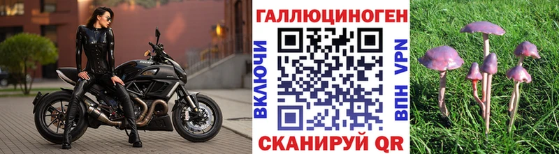 blacksprut ссылки  Верхоянск  Галлюциногенные грибы GOLDEN TEACHER  наркотики 